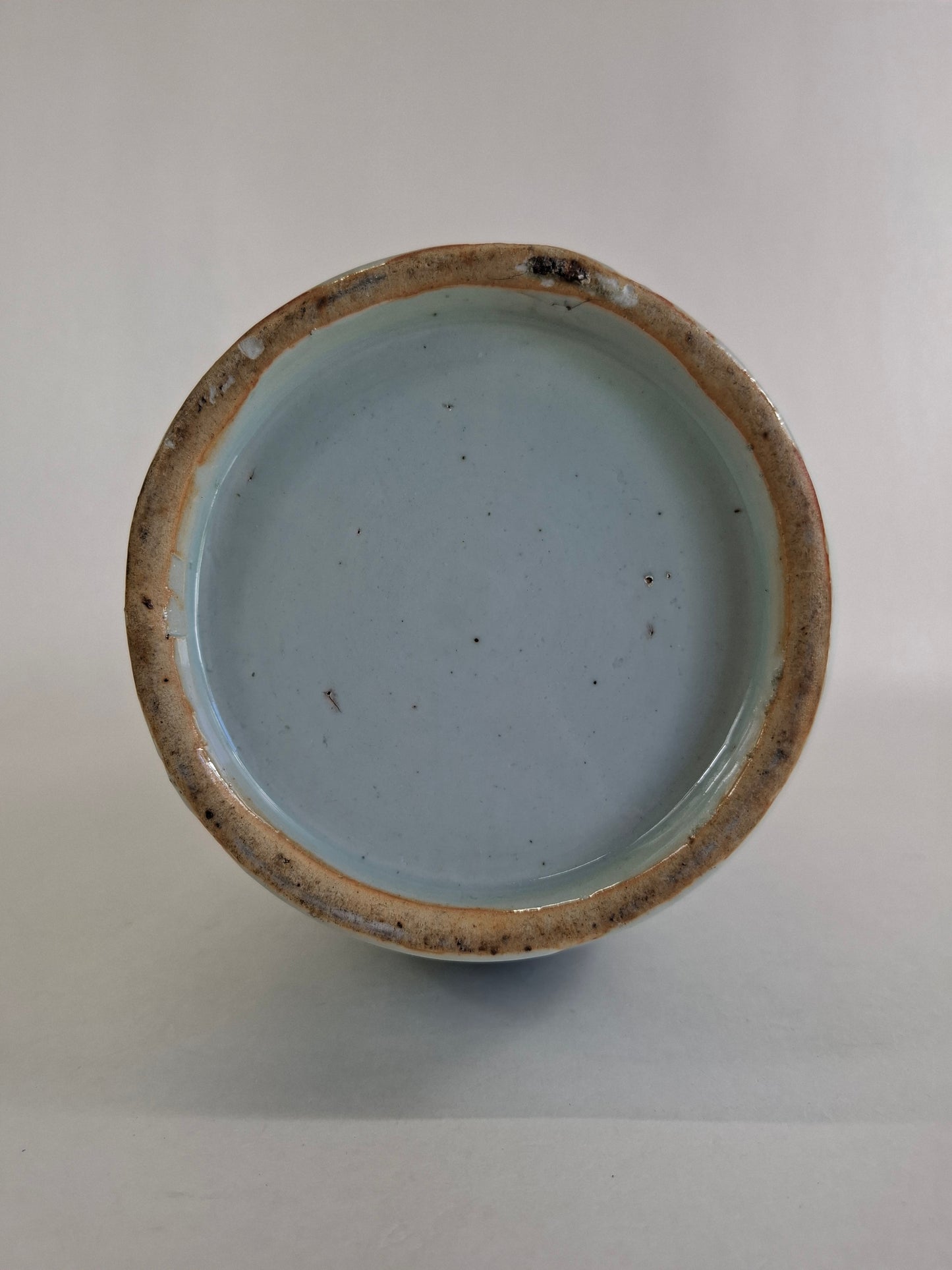 Antique Chinese vase decorated with a peacock and flowers // Qing Dynasty - 19th century