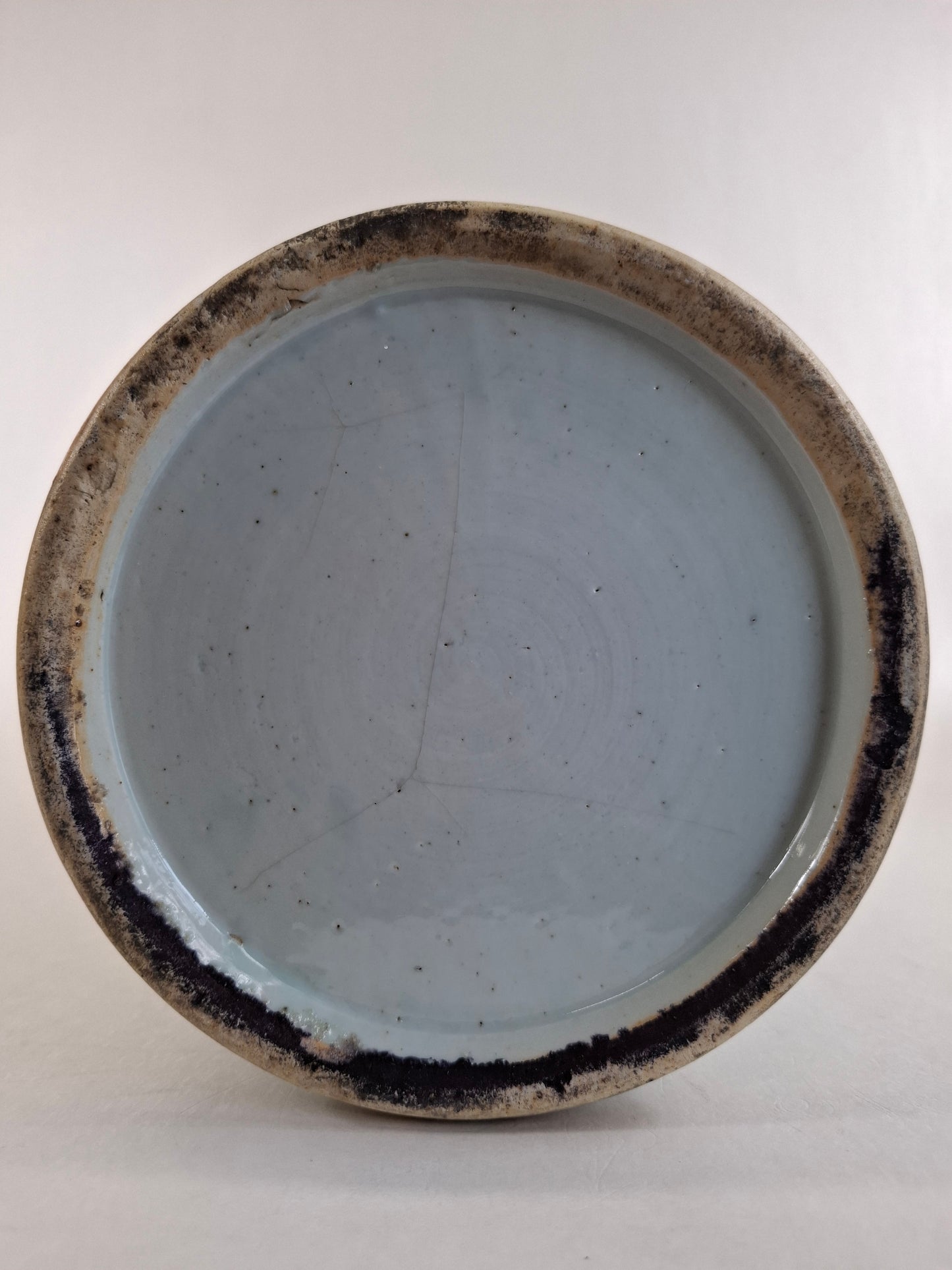 Large antique Chinese celadon colored vase decorated with a Qylin and phoenix // Qing dynasty - 19th century