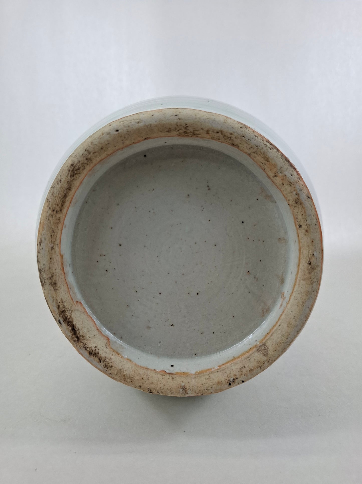 Antique Chinese vase decorated with a bird and flowers // Blue and white - Qing Dynasty - 19th century