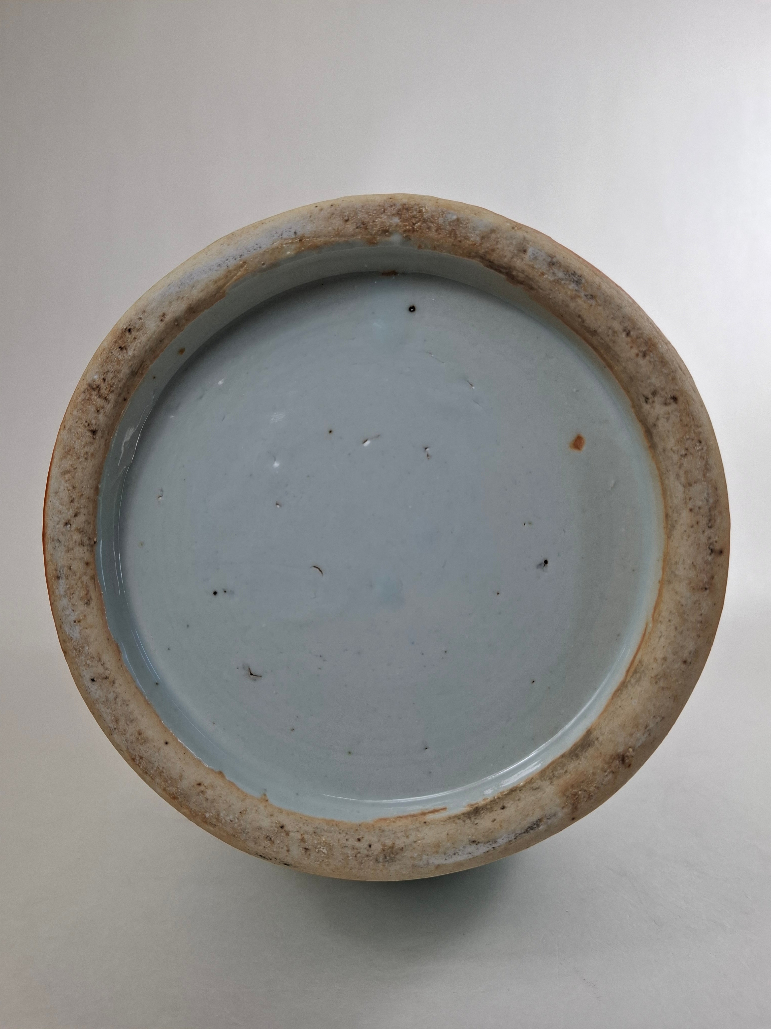 古董中国花瓶，饰有凤凰和花朵// 蓝白相间- 清朝- 19 世纪– Diddenantiques