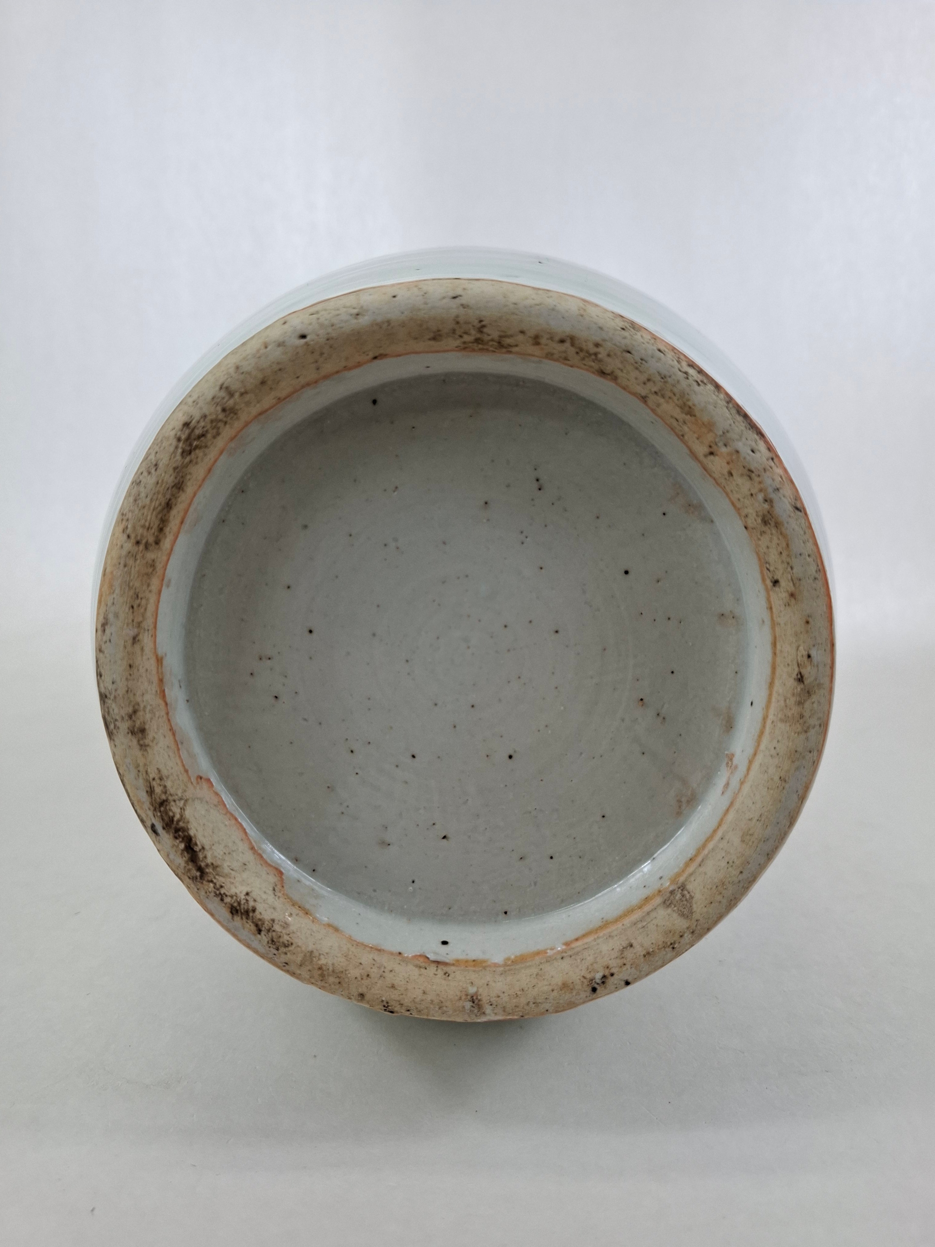 中国古董花瓶，饰以鸟语花香// 青花瓷- 清代- 19世纪– Diddenantiques