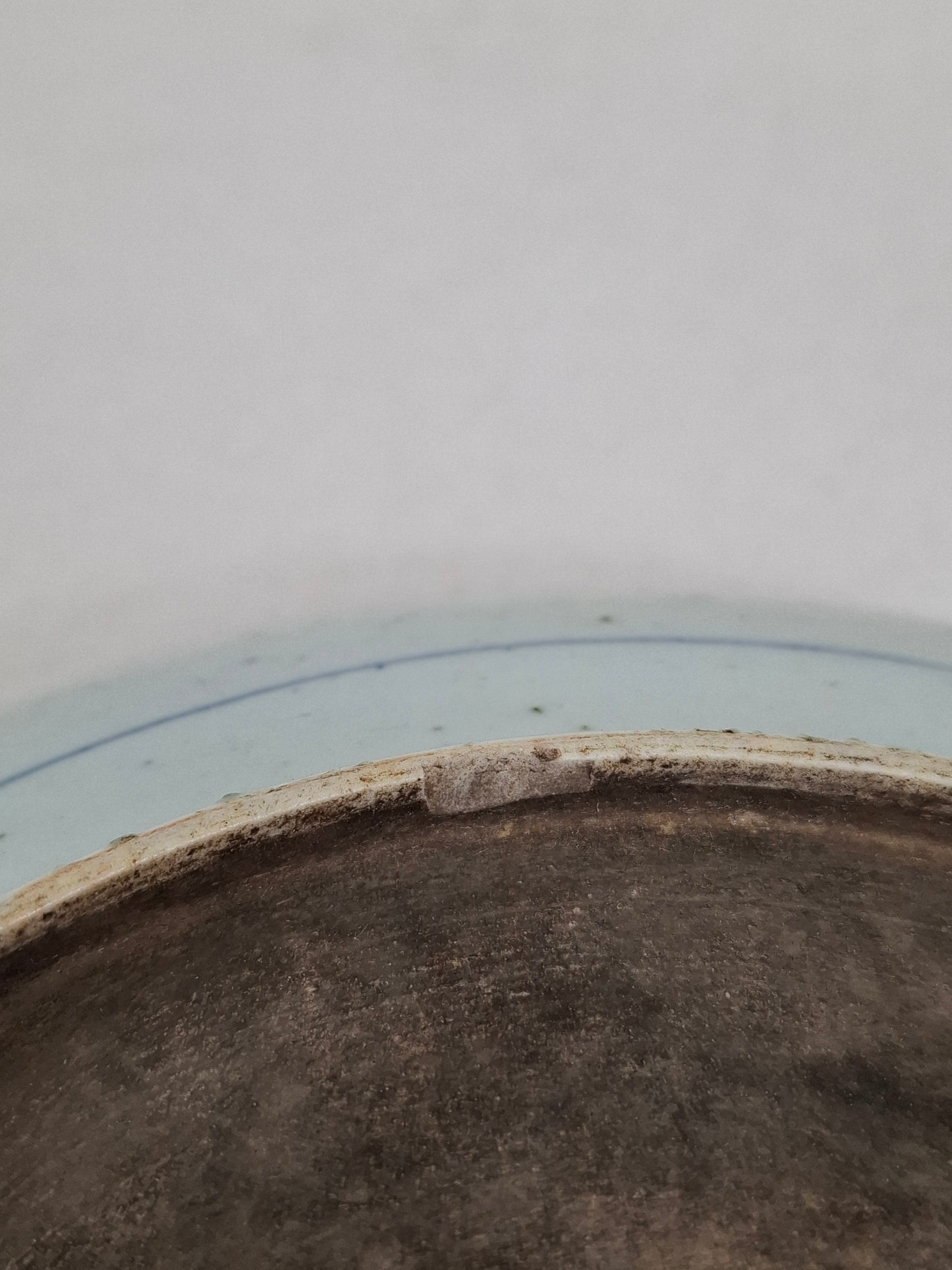 Grande prato chinês antigo decorado com flores de lótus // Dinastia Qing - século XVIII