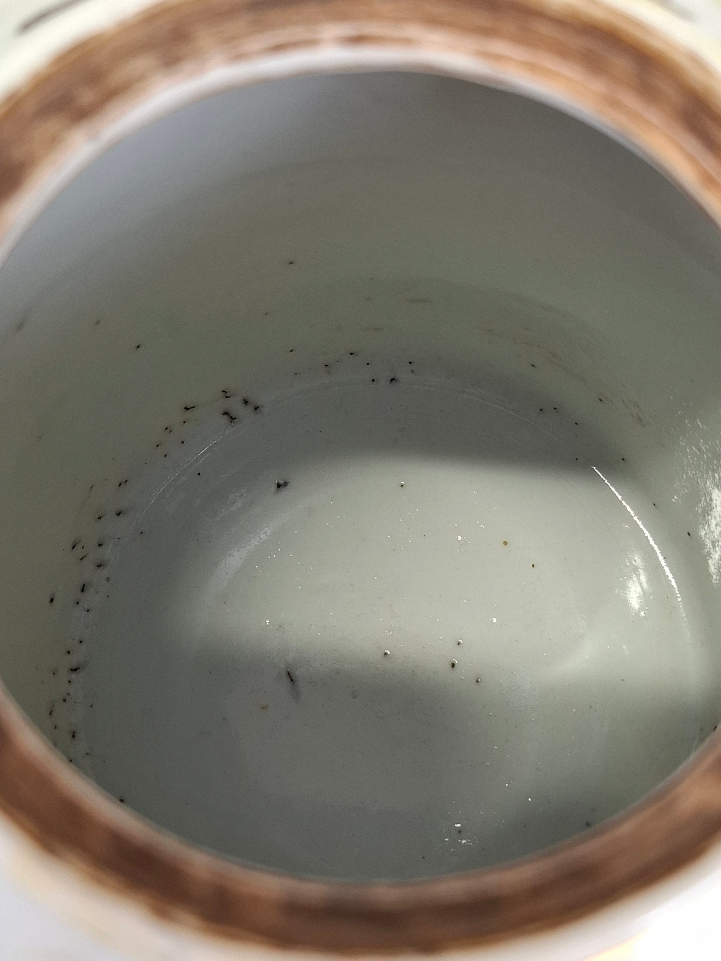 Théière chinoise ancienne décorée d'une scène de jardin // Période républicaine (1912-1949)