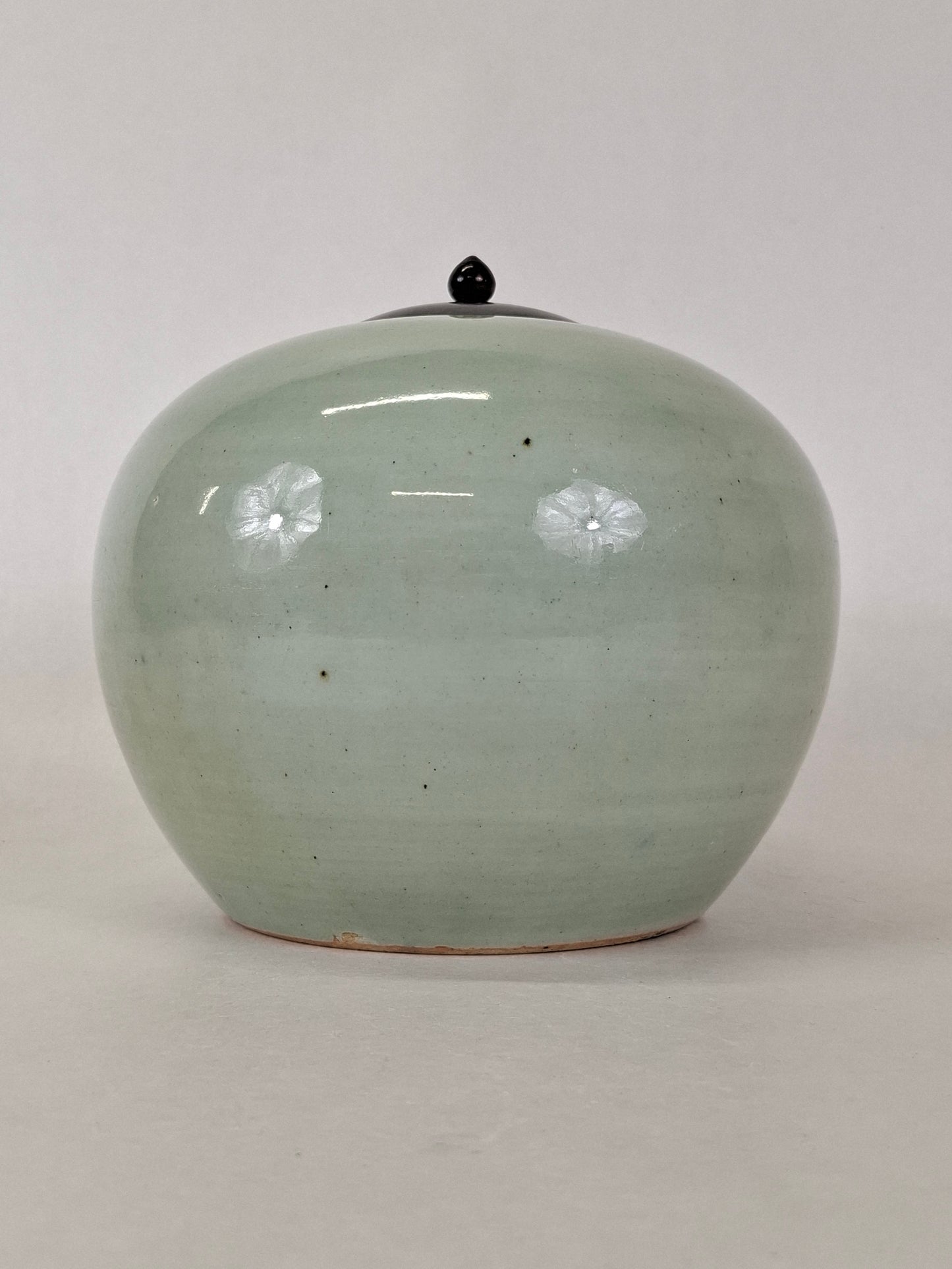 Antique Chinese ginger jar decorated with antiquities // Qing Dynasty - 19th century