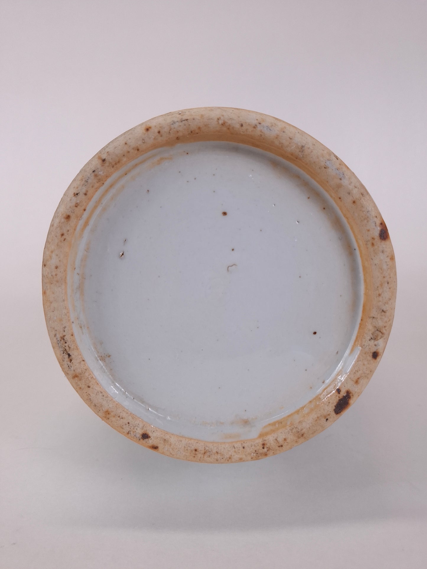 Vase chinois ancien orné d'un oiseau et de fleurs // Bleu et blanc - Dynastie Qing - XIXe siècle