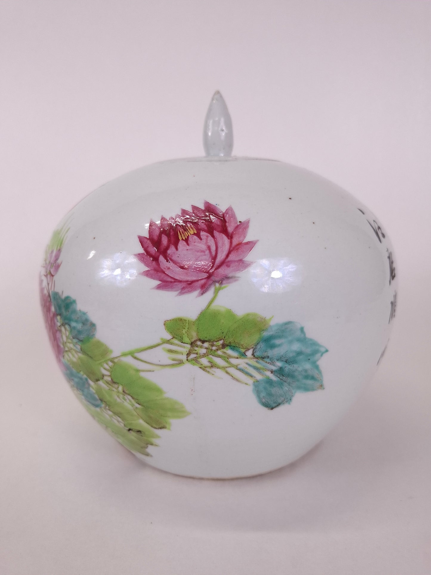 Ancien pot à gingembre chinois qianjiang cai décoré d'un oiseau et de fleurs // Dynastie Qing - 19e siècle
