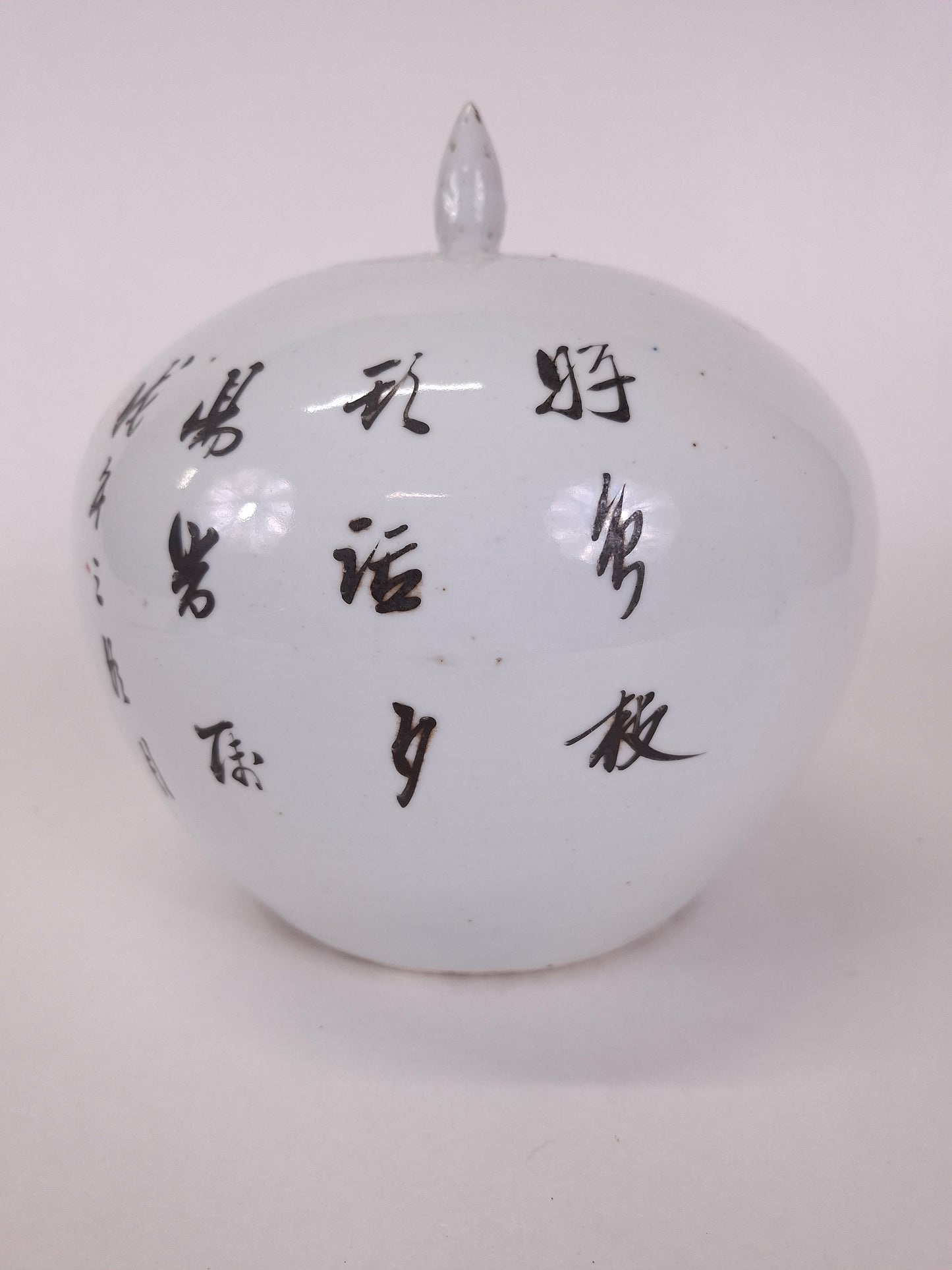 Ancien pot à gingembre chinois qianjiang cai décoré d'un oiseau et de fleurs // Dynastie Qing - 19e siècle