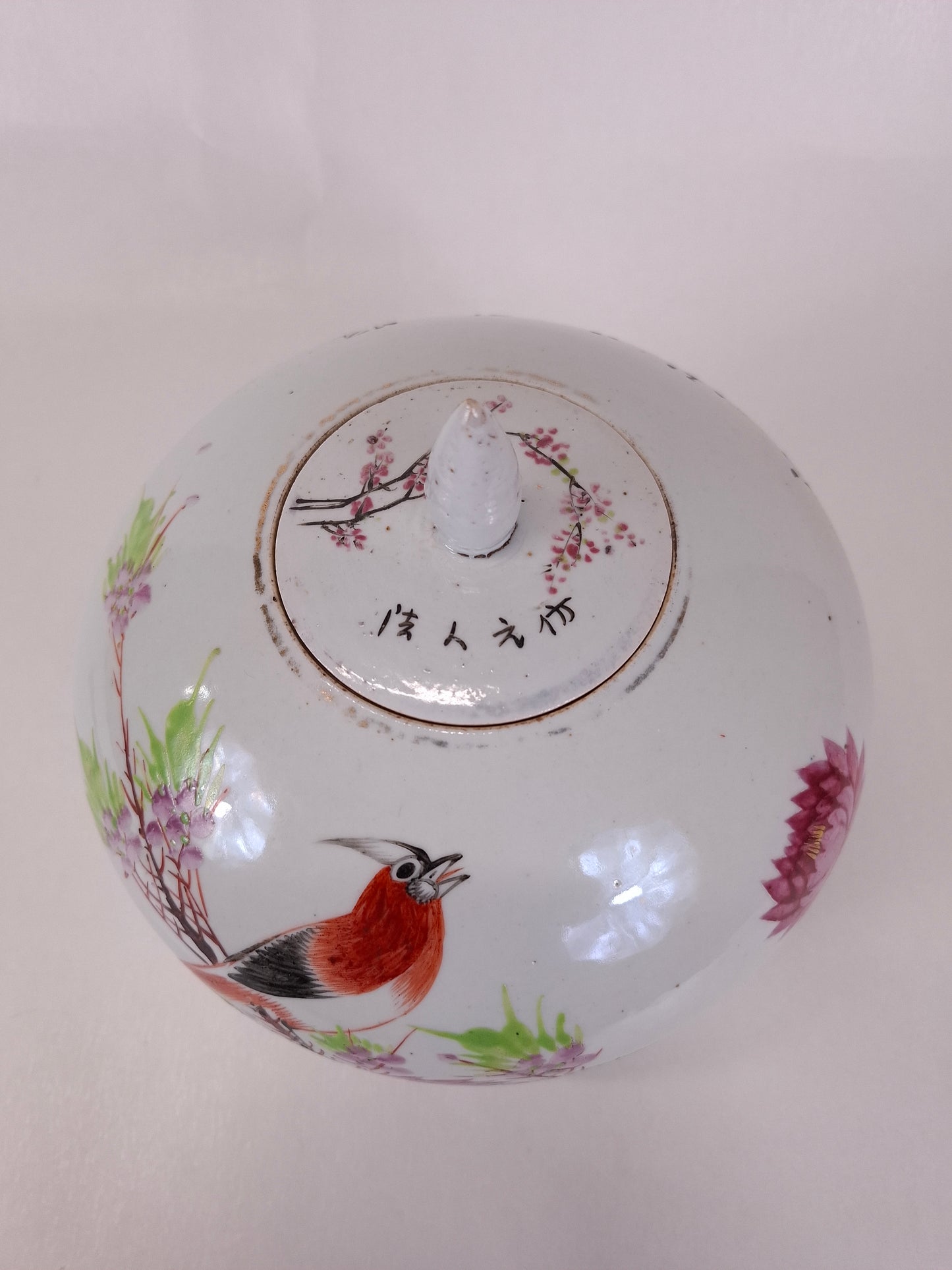Ancien pot à gingembre chinois qianjiang cai décoré d'un oiseau et de fleurs // Dynastie Qing - 19e siècle