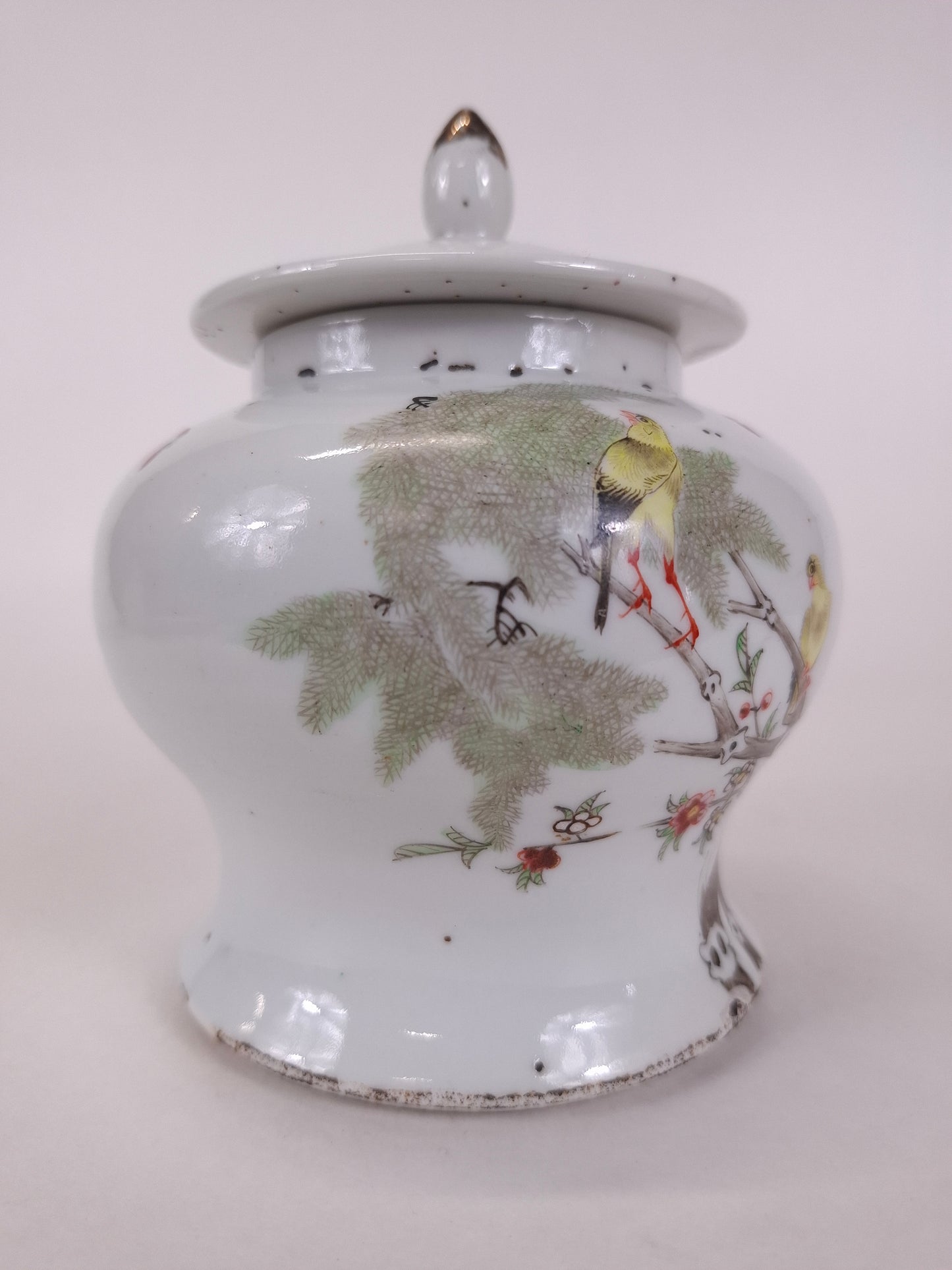 Antique Chinese lidded vase decorated with canaries in a tree // Republic period (1912-1949)