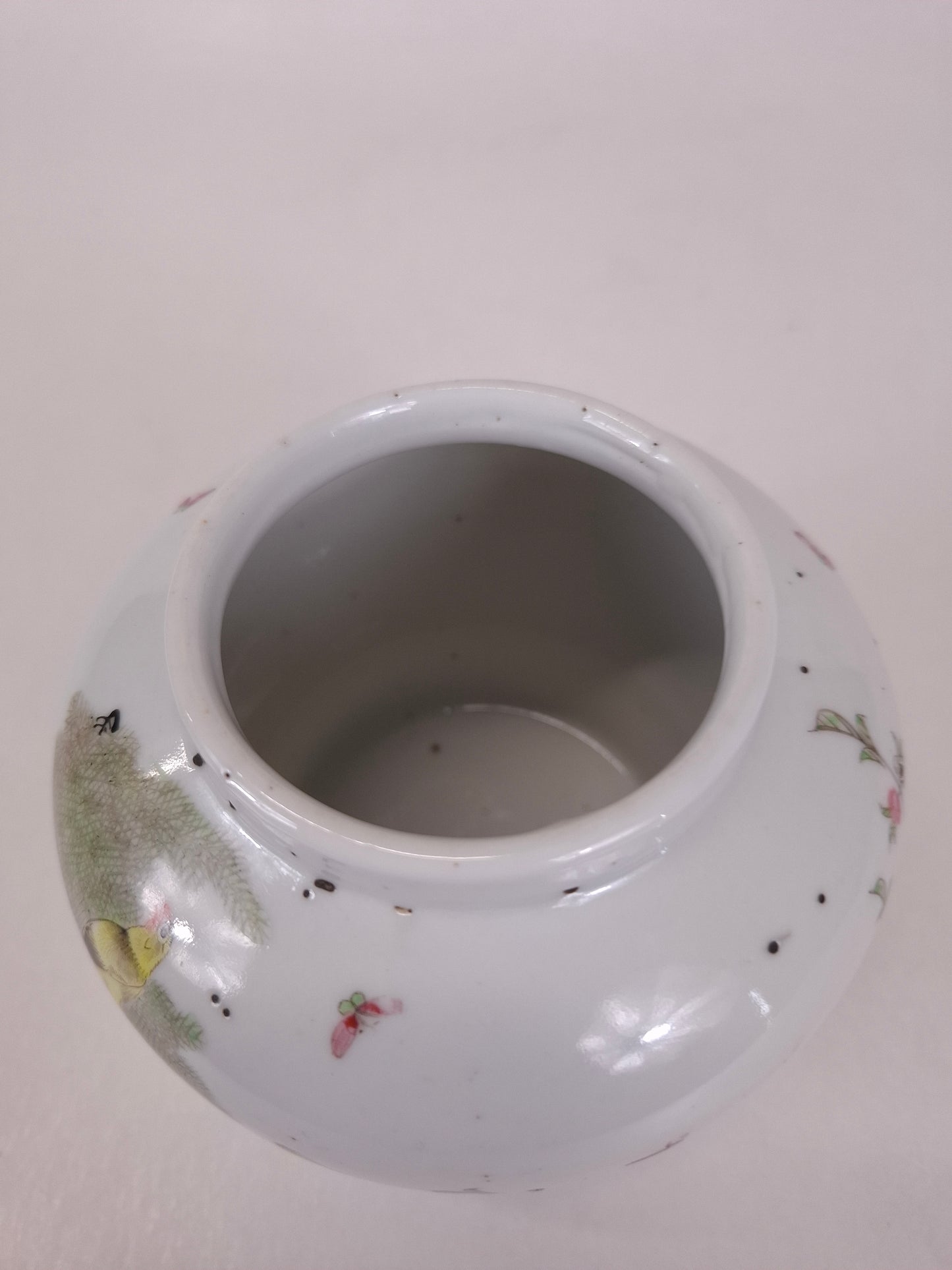Antique Chinese lidded vase decorated with canaries in a tree // Republic period (1912-1949)
