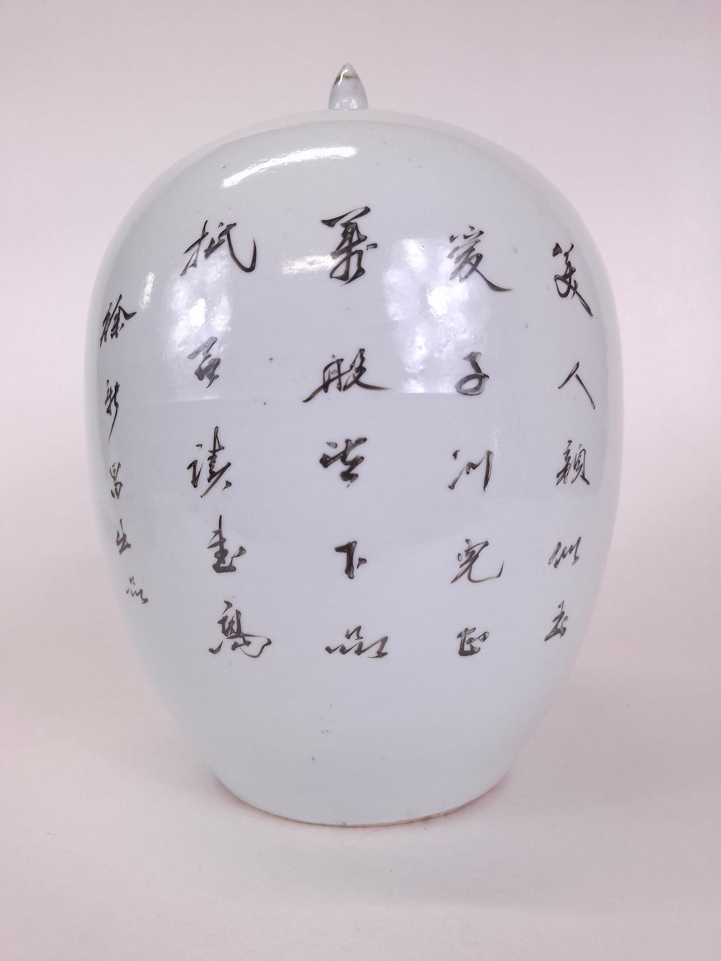 Antique chinese ginger jar decorated with a garden scene // Republic period (1912-1949)