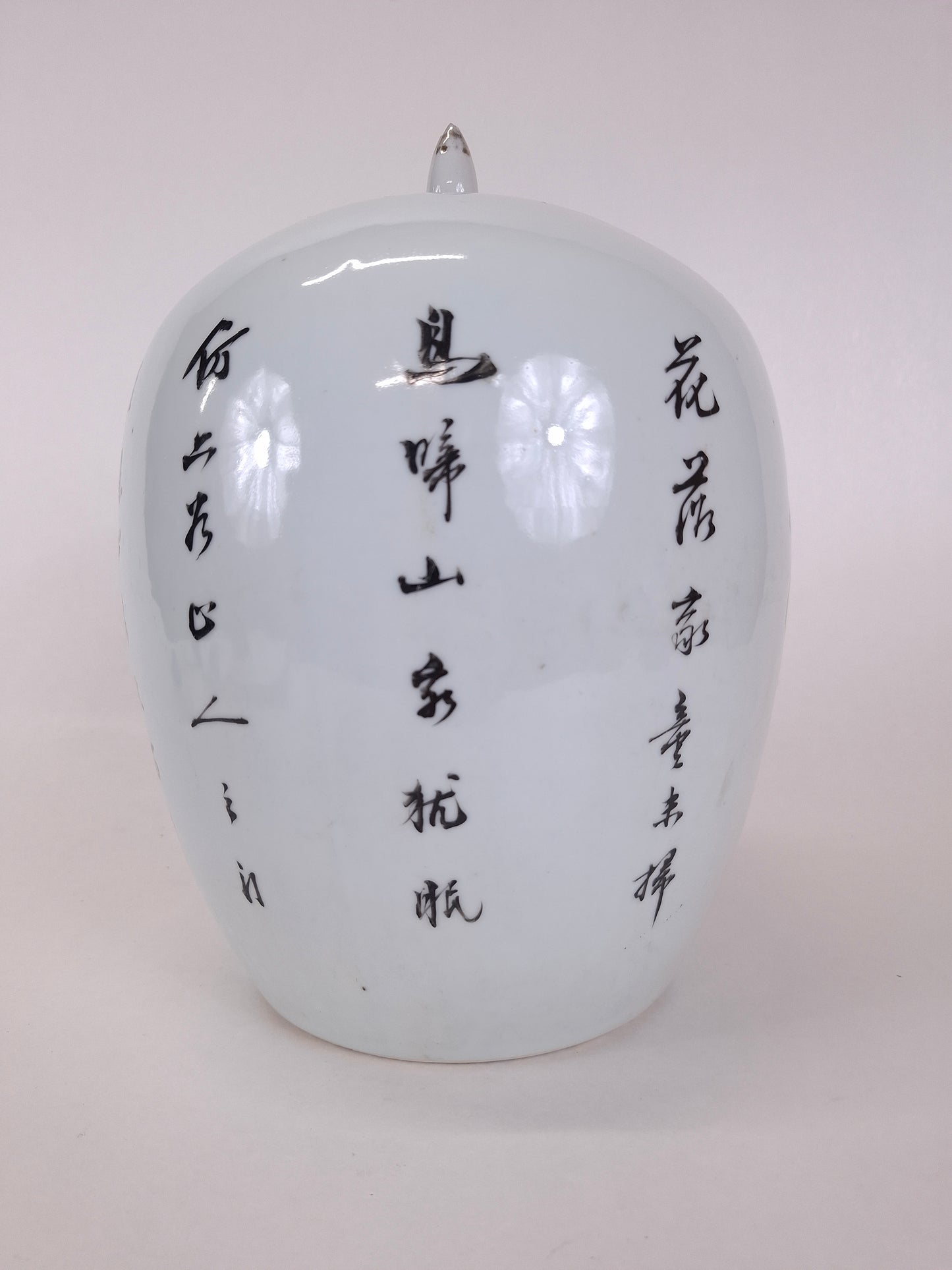 Pot à gingembre chinois ancien en *qianjiang cai* décoré d'un oiseau et de fleurs // Période République (1912-1949)