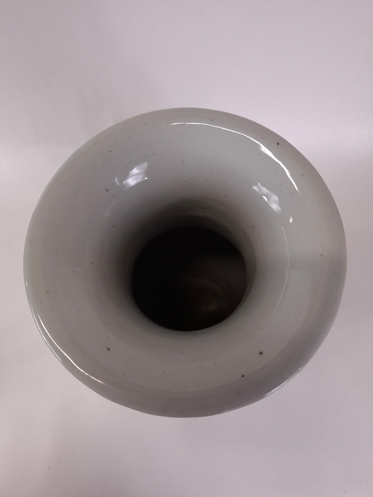 Vase chinois ancien décoré d'oiseaux et de fleurs // Bleu et blanc - Dynastie Qing - XIXe siècle
