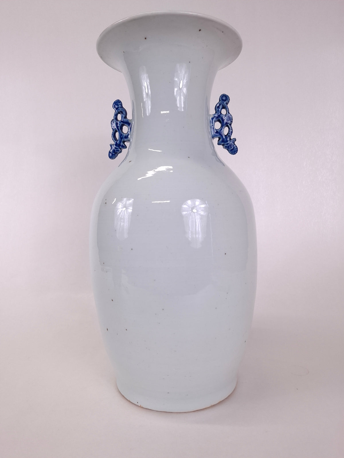 Vaso chinês antigo decorado com um pássaro e flores // Dinastia Qing - século XIX