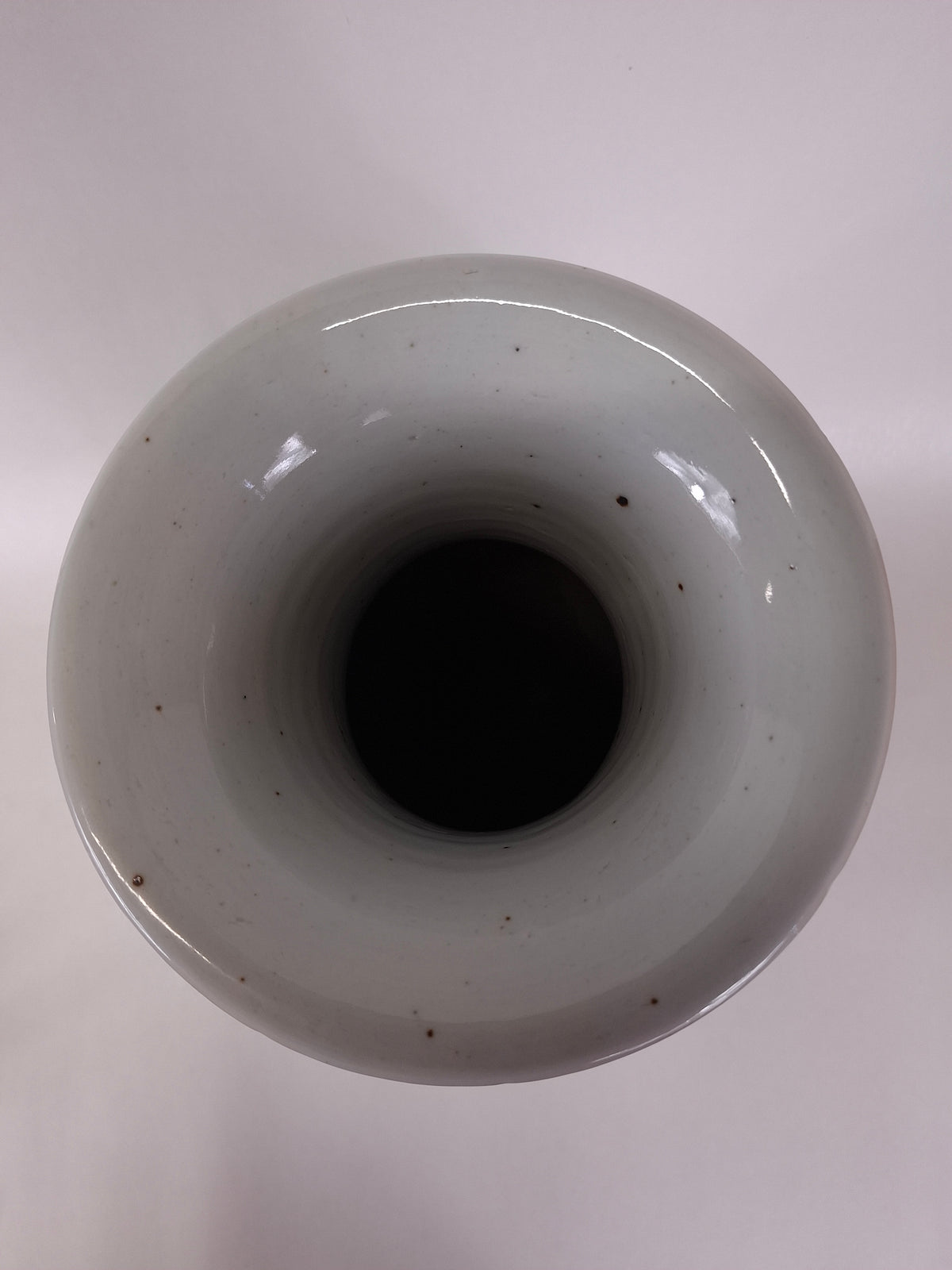 Vaso chinês antigo decorado com um pássaro e flores // Dinastia Qing - século XIX
