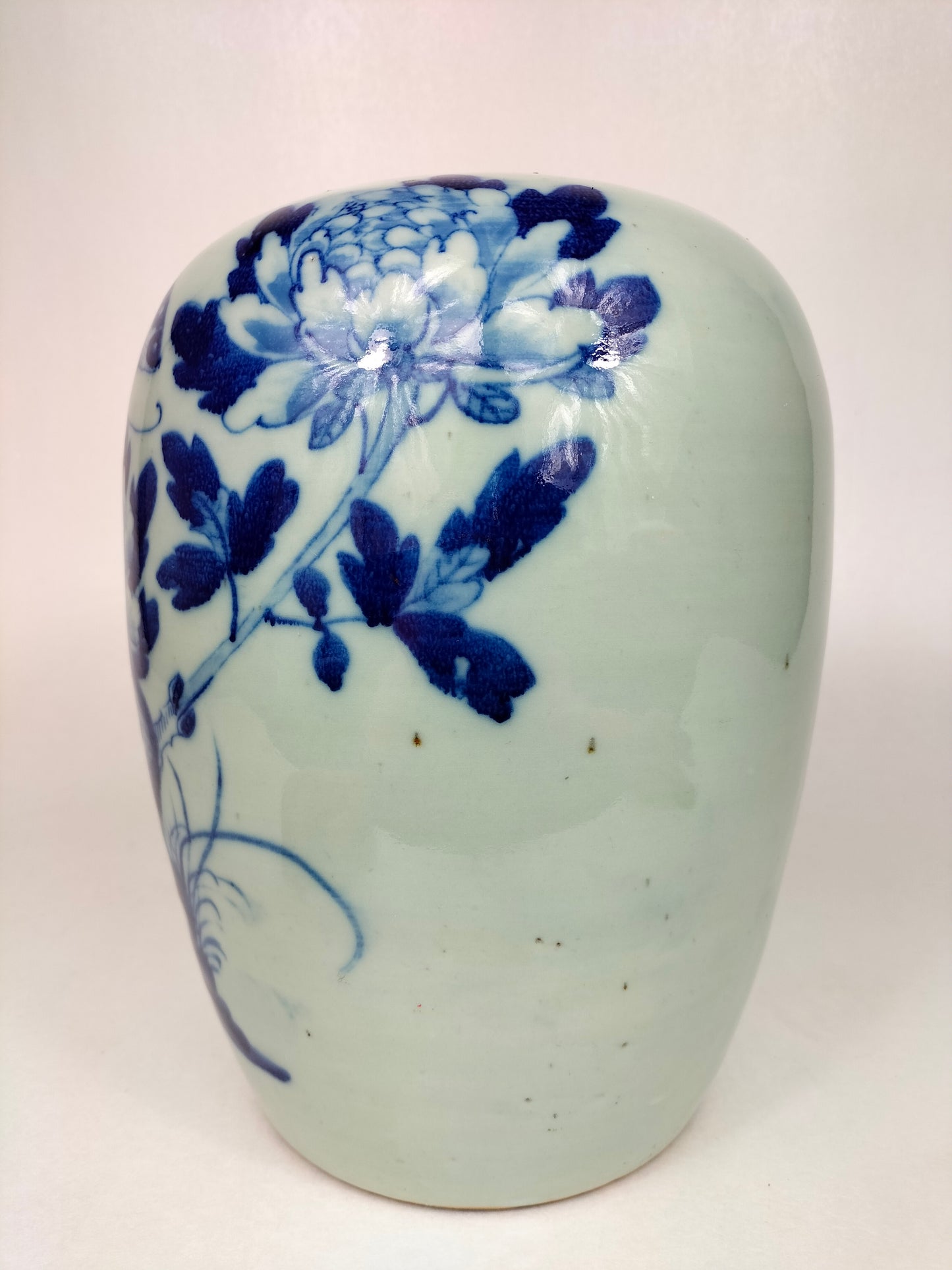 Antique Chinese celadon colored ginger jar decorated with a butterfly and flowers // Qing Dynasty - 19th century