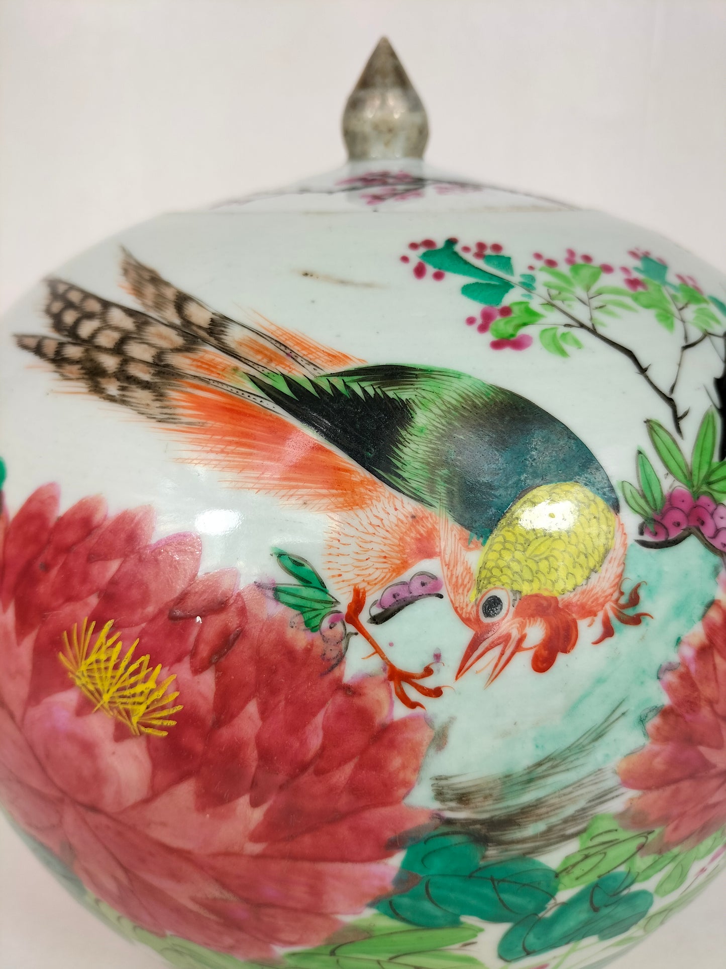 جرة زنجبيل تشيانجيانغ كاي الصينية العتيقة مزينة بطائر وزهور // عهد أسرة تشينغ - القرن التاسع عشر