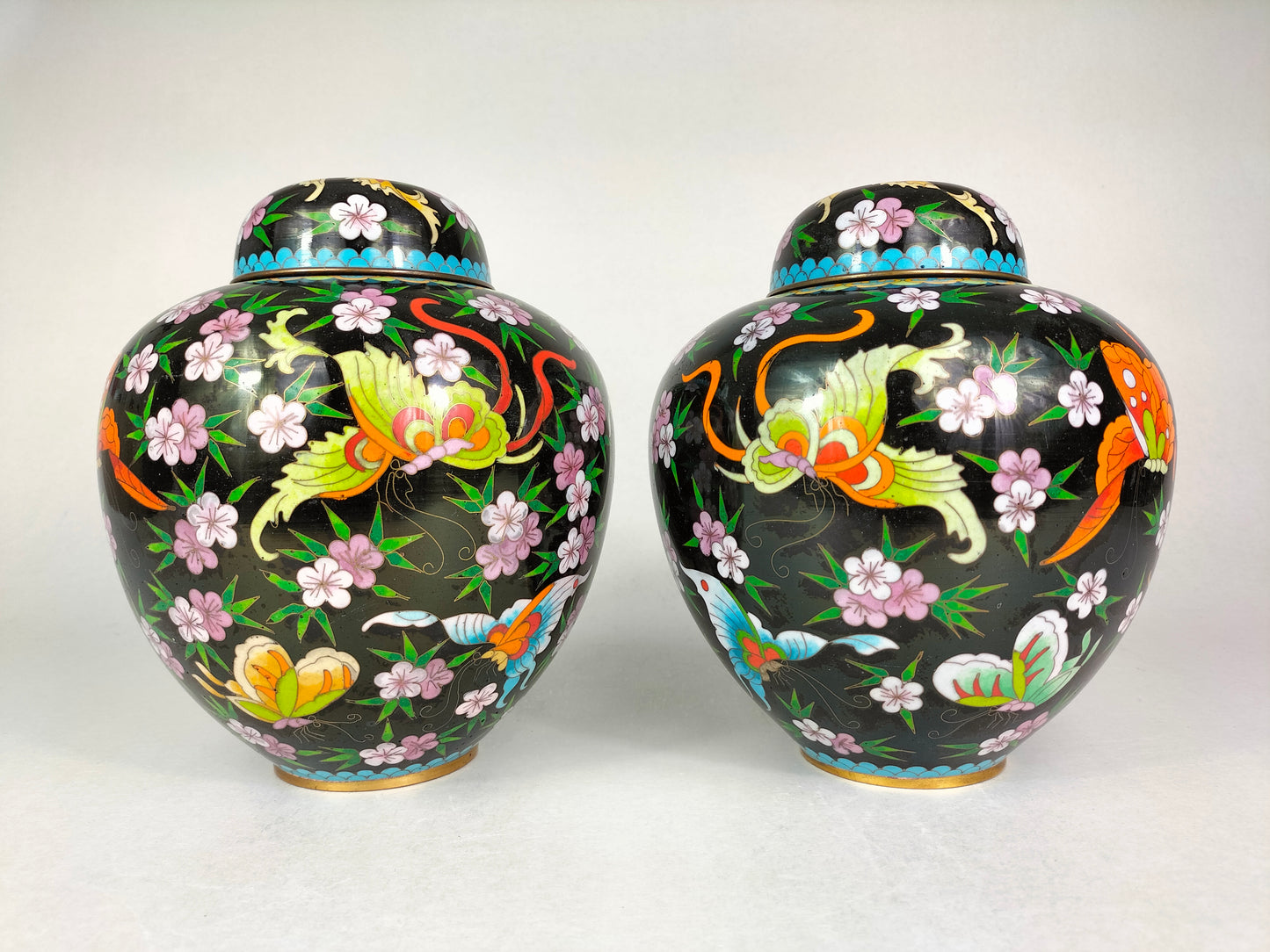 Par de pote chinês de gengibre cloisonne decorado com borboletas // século XX