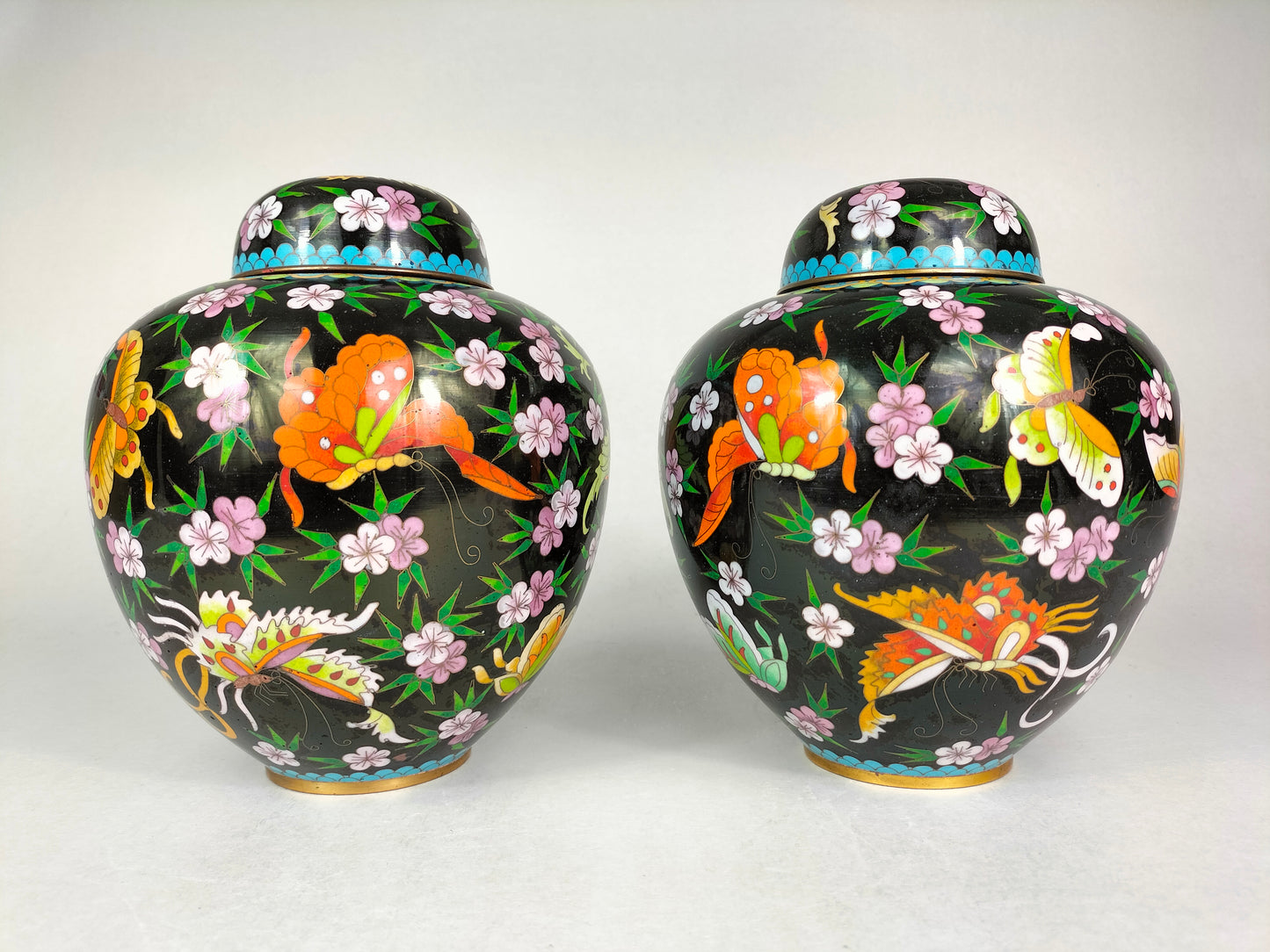 Pair of Chinese cloisonne ginger jar decorated with butterflies // 20th century