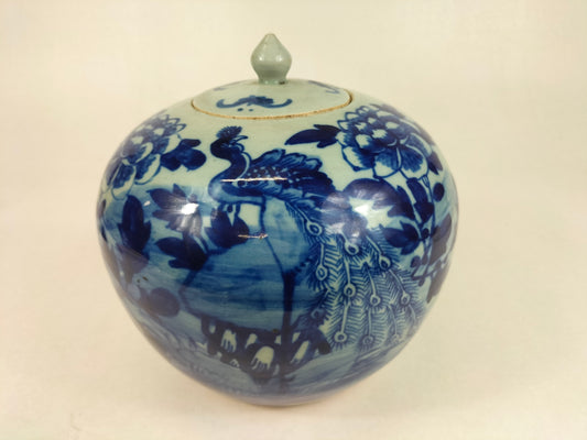 古董中国青瓷姜罐，饰有孔雀和花朵//清朝 - 19 世纪