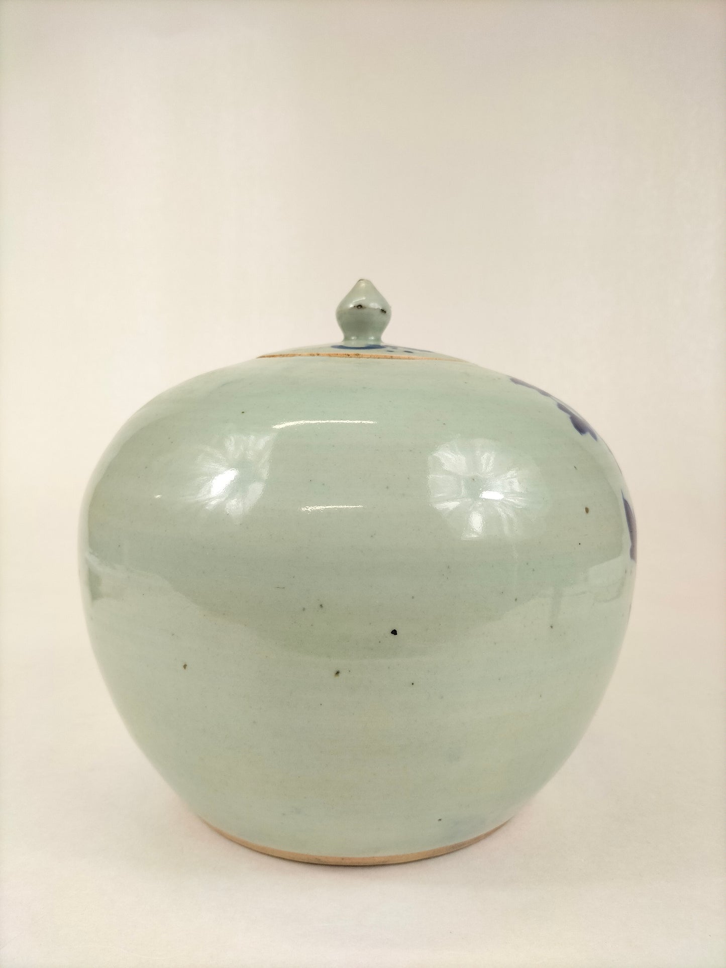 Antique Chinese celadon ginger jar decorated with peacock and flowers // Qing Dynasty - 19th century