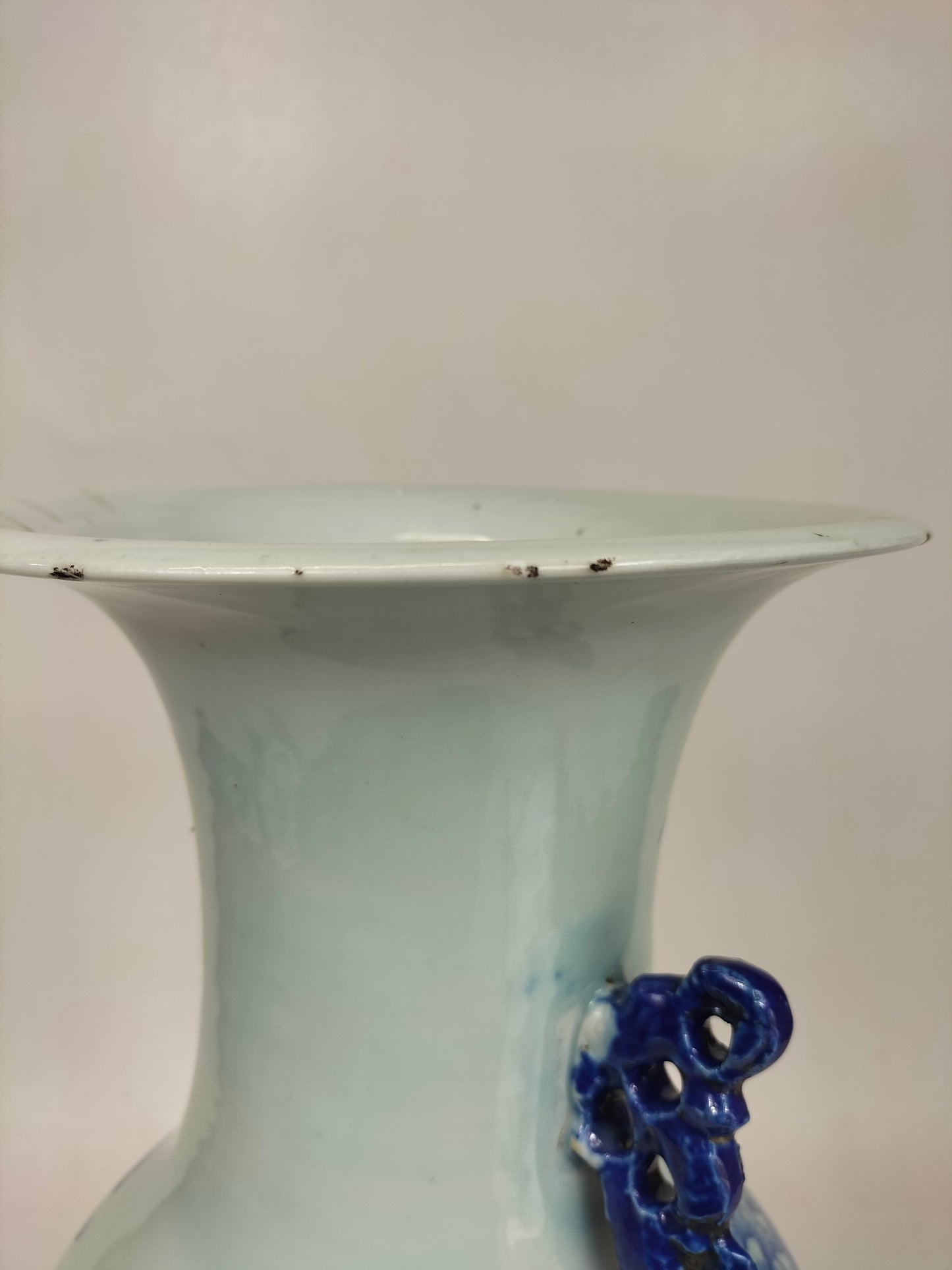 Grand vase chinois ancien à décor d'oiseaux et de fleurs // Bleu et blanc - Dynastie Qing - 19ème siècle