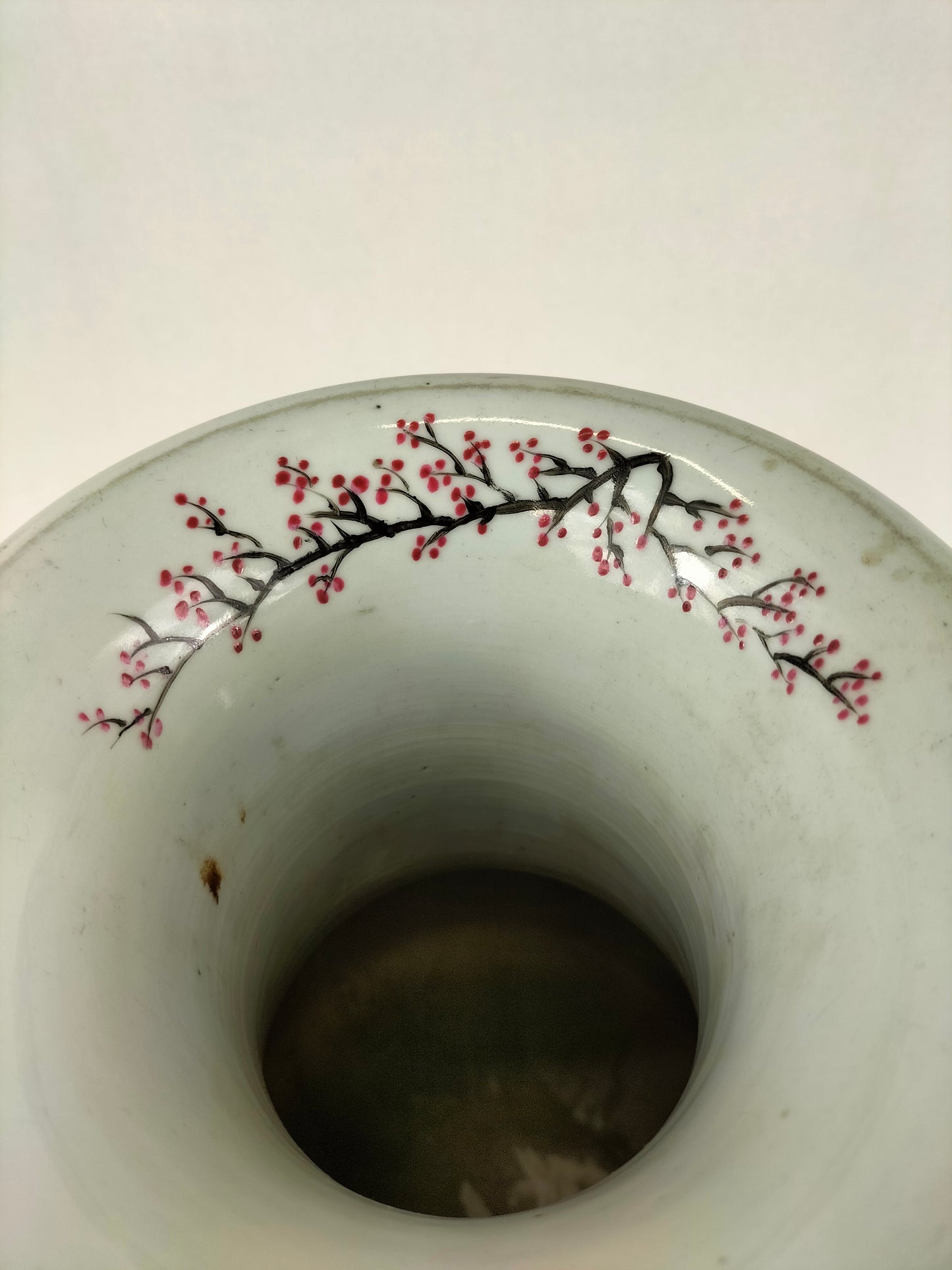 Antique Chinese qianjiang cai vase with peacock and flowers // Republic period (1912-1949)