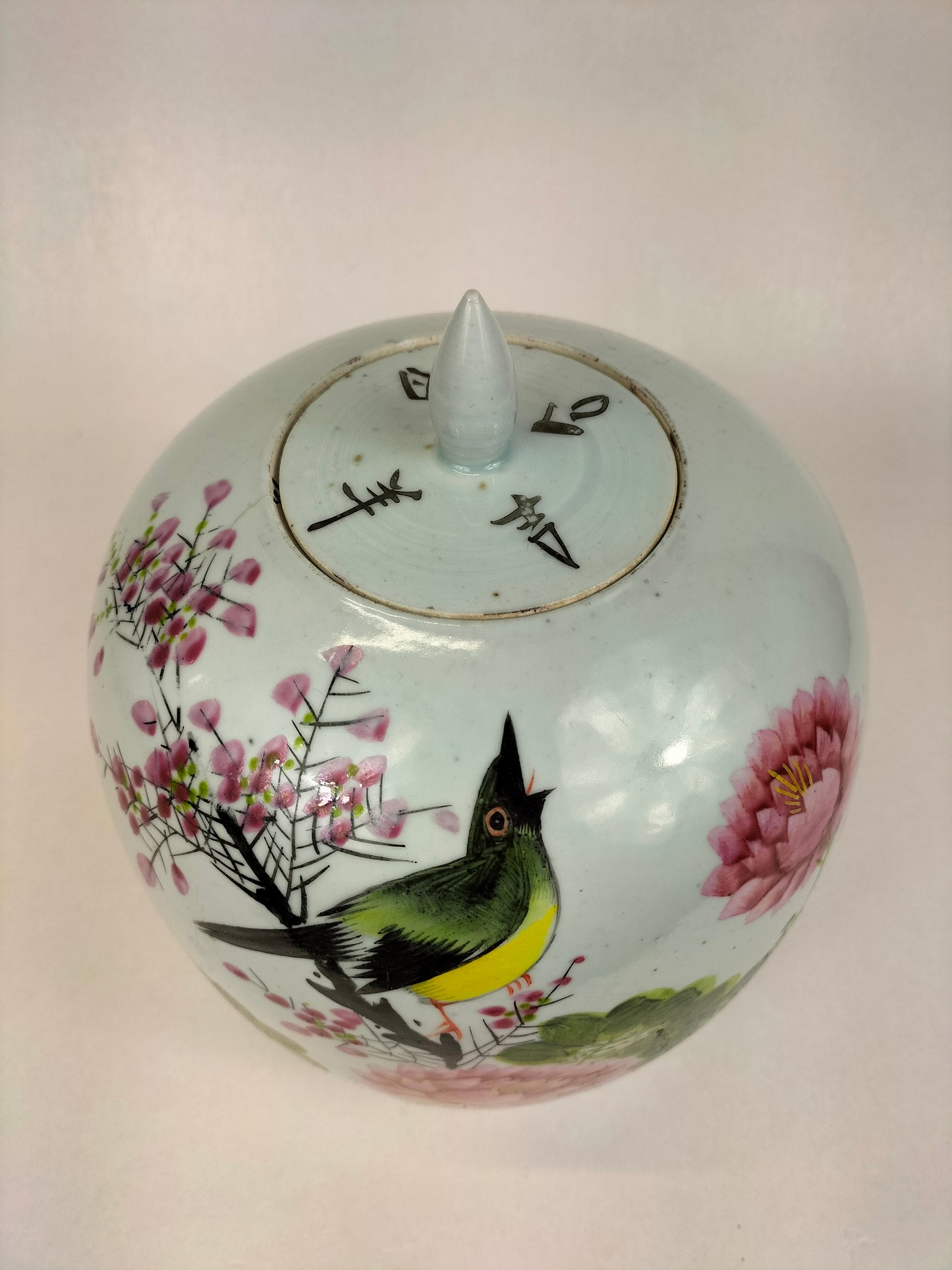 Ancien pot à gingembre chinois qianjiang cai décoré d'un oiseau et de fleurs // Période République (1912-1949)