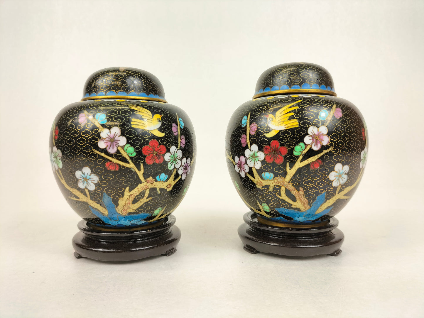 Cặp bình gừng cloisonné Trung Quốc trang trí với chim và hoa // Thế kỷ 20