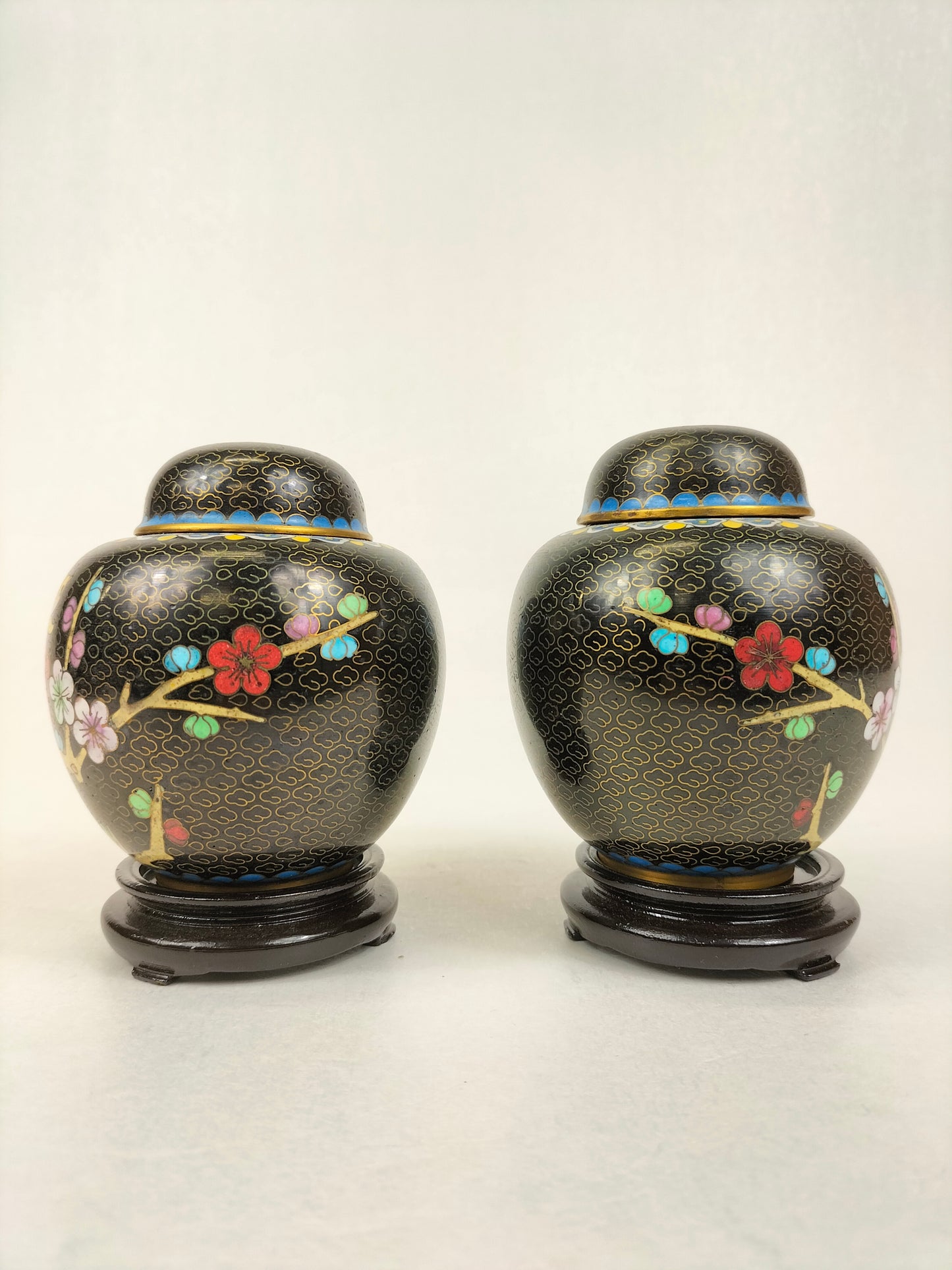 Cặp bình gừng cloisonné Trung Quốc trang trí với chim và hoa // Thế kỷ 20