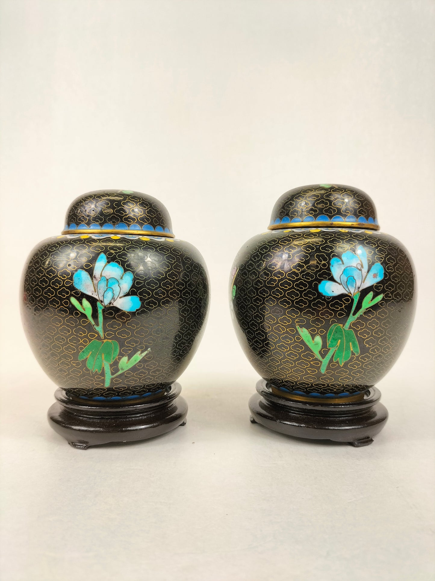 Cặp bình gừng cloisonné Trung Quốc trang trí với chim và hoa // Thế kỷ 20