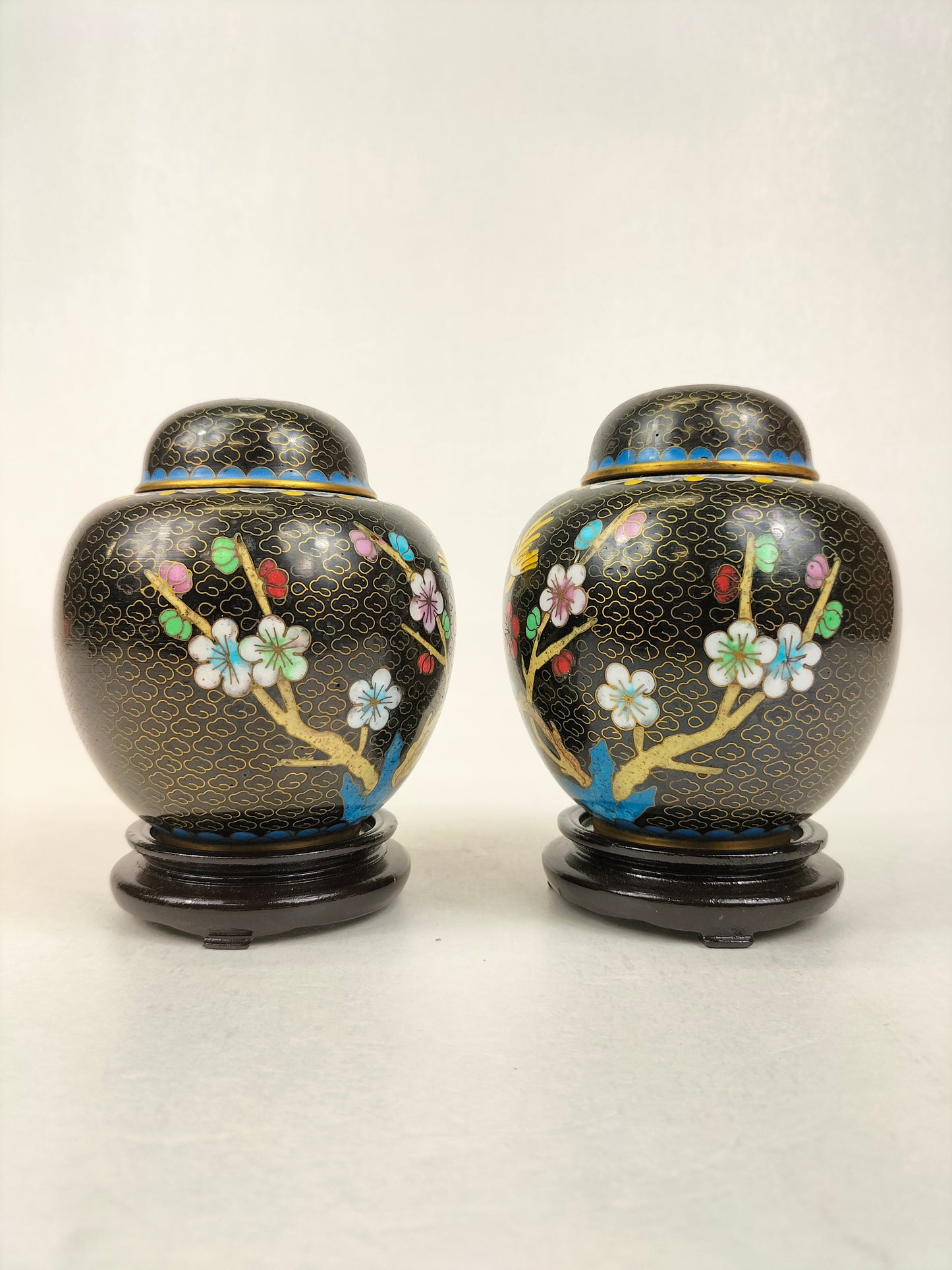 Cặp bình gừng cloisonné Trung Quốc trang trí với chim và hoa // Thế kỷ 20