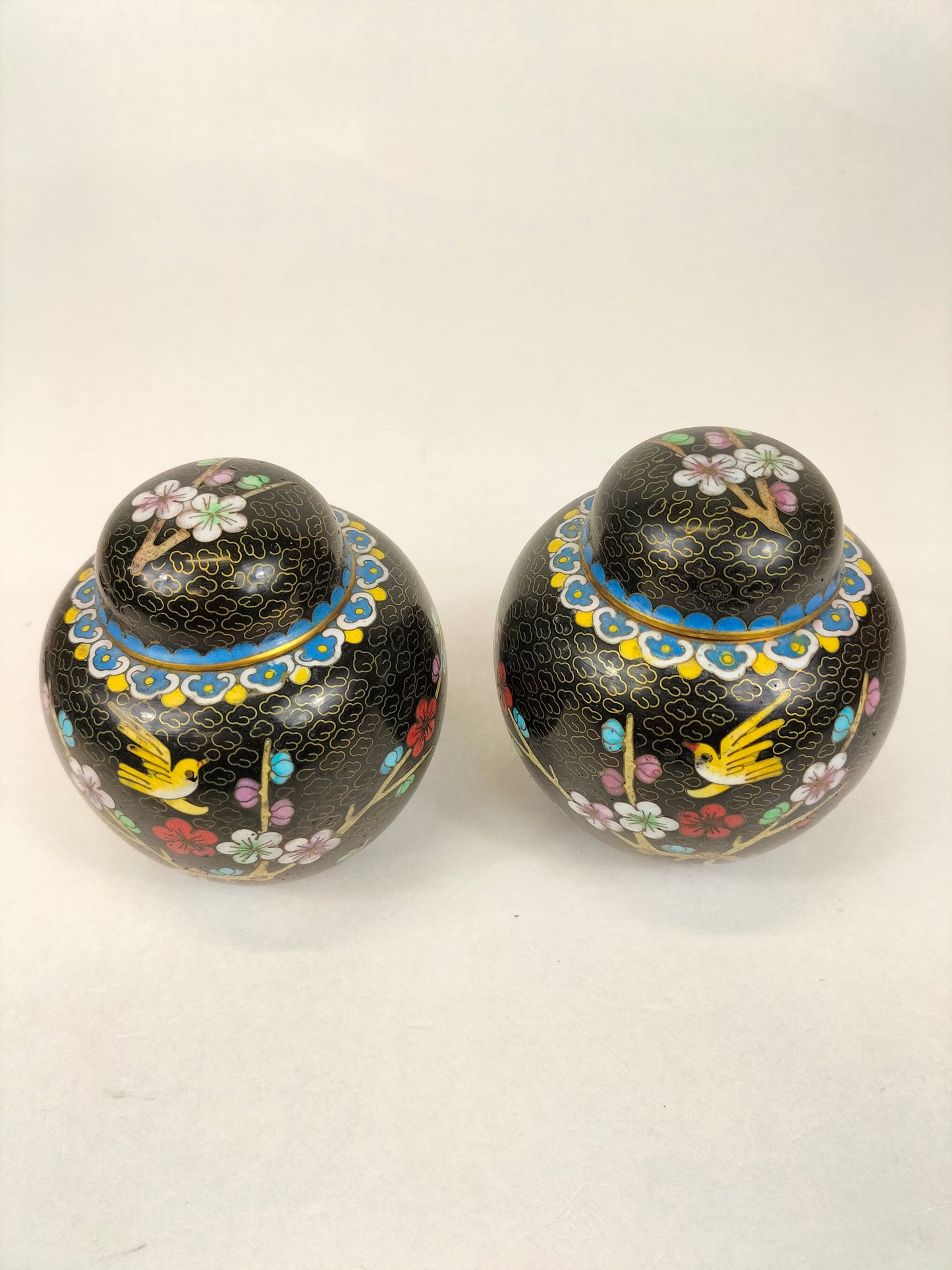 Cặp bình gừng cloisonné Trung Quốc trang trí với chim và hoa // Thế kỷ 20