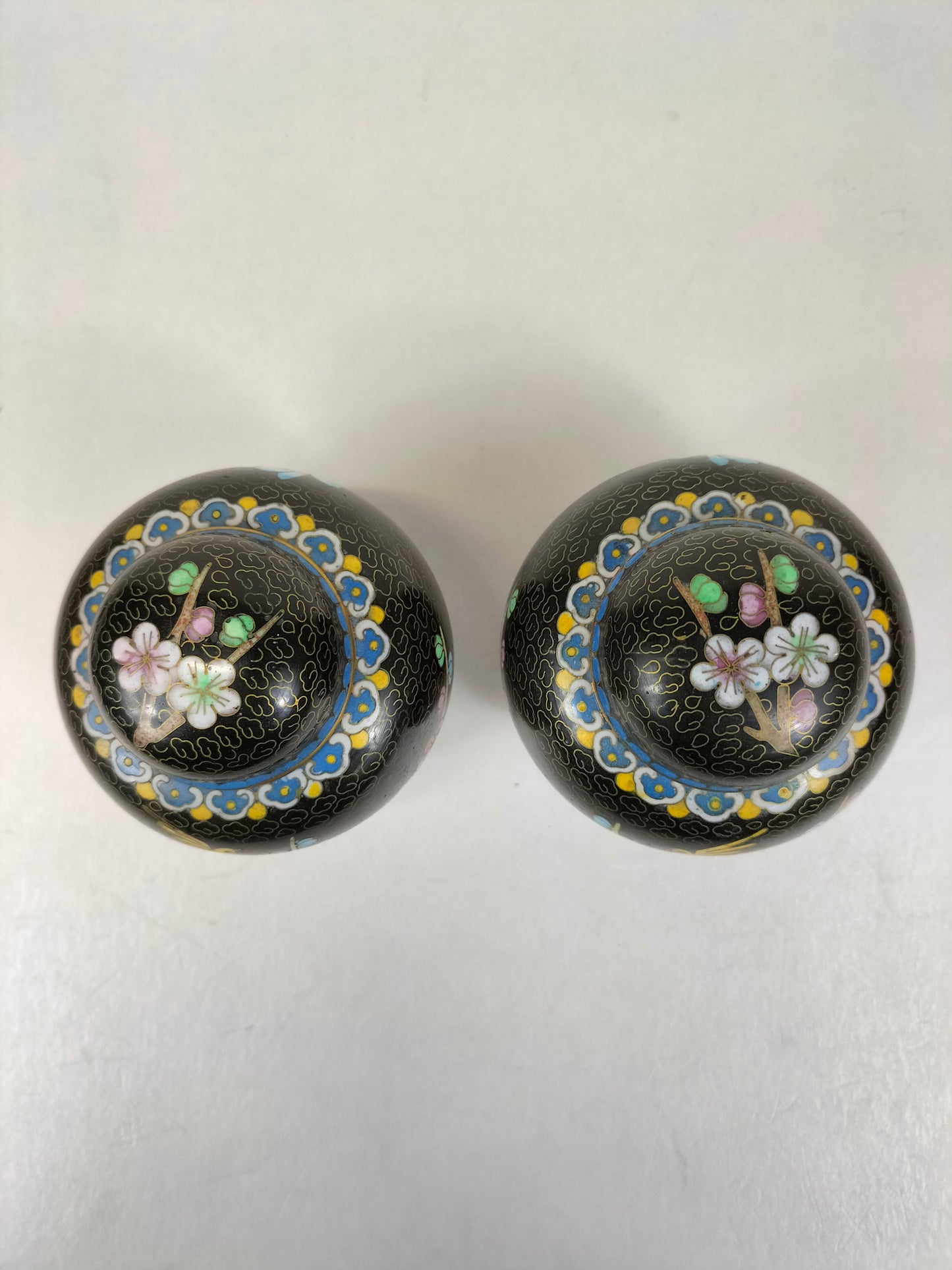 Cặp bình gừng cloisonné Trung Quốc trang trí với chim và hoa // Thế kỷ 20