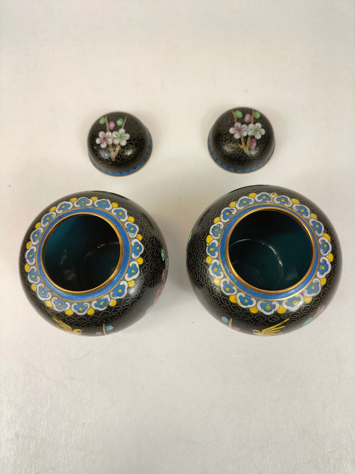 Cặp bình gừng cloisonné Trung Quốc trang trí với chim và hoa // Thế kỷ 20