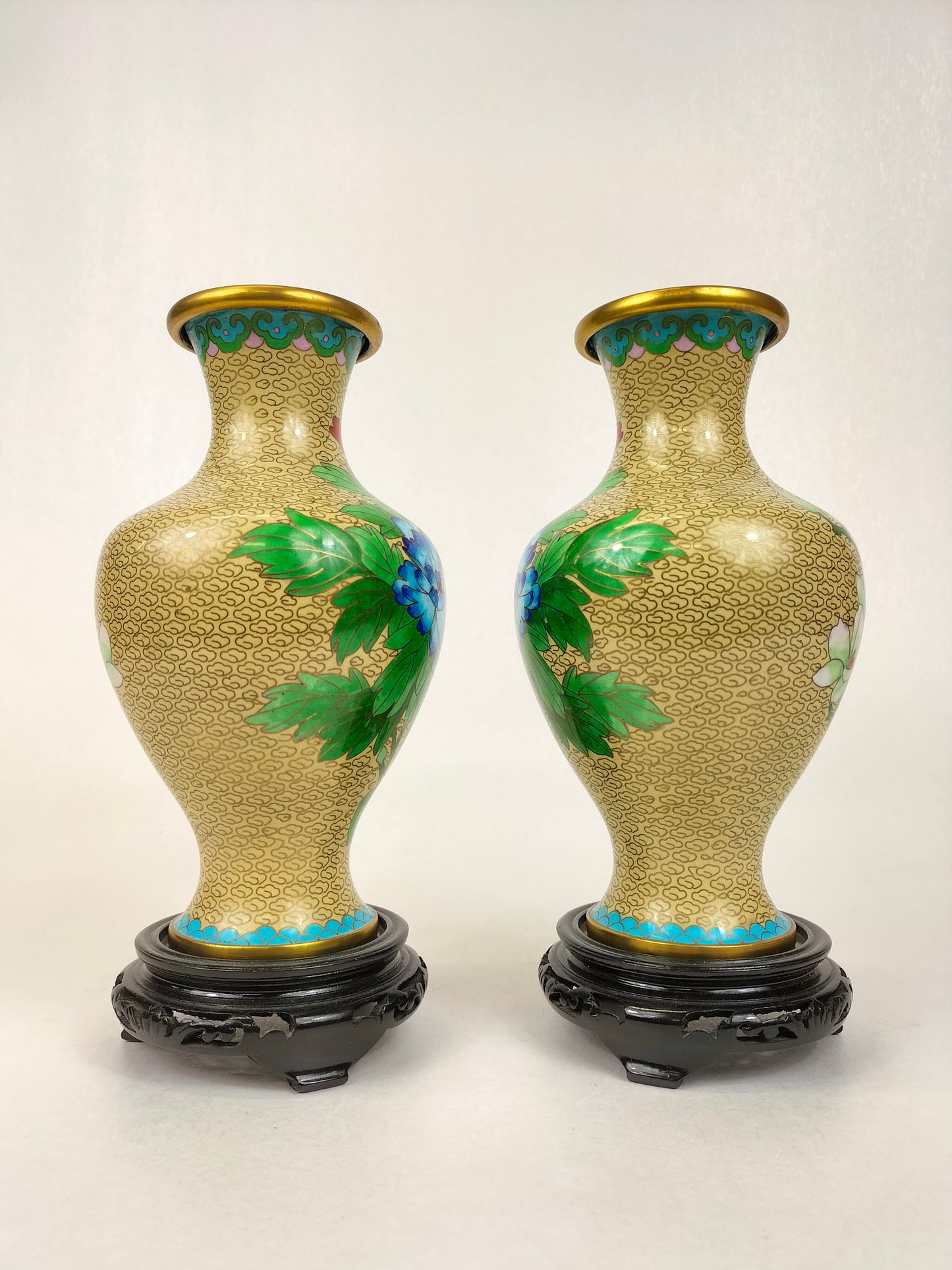 Cặp bình sứ cloisonné Trung Quốc trang trí hoa // Thế kỷ 20