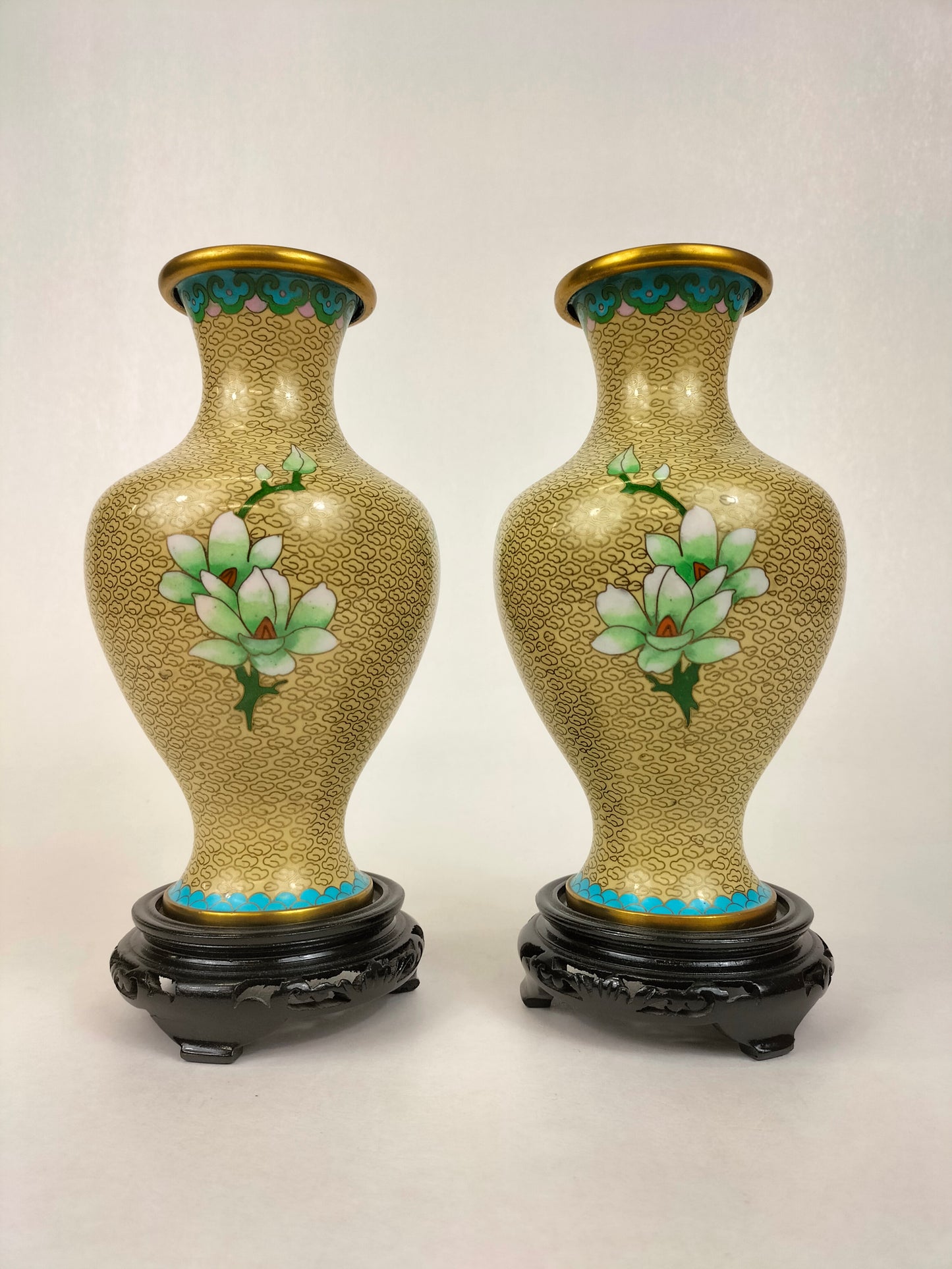 Cặp bình sứ cloisonné Trung Quốc trang trí hoa // Thế kỷ 20