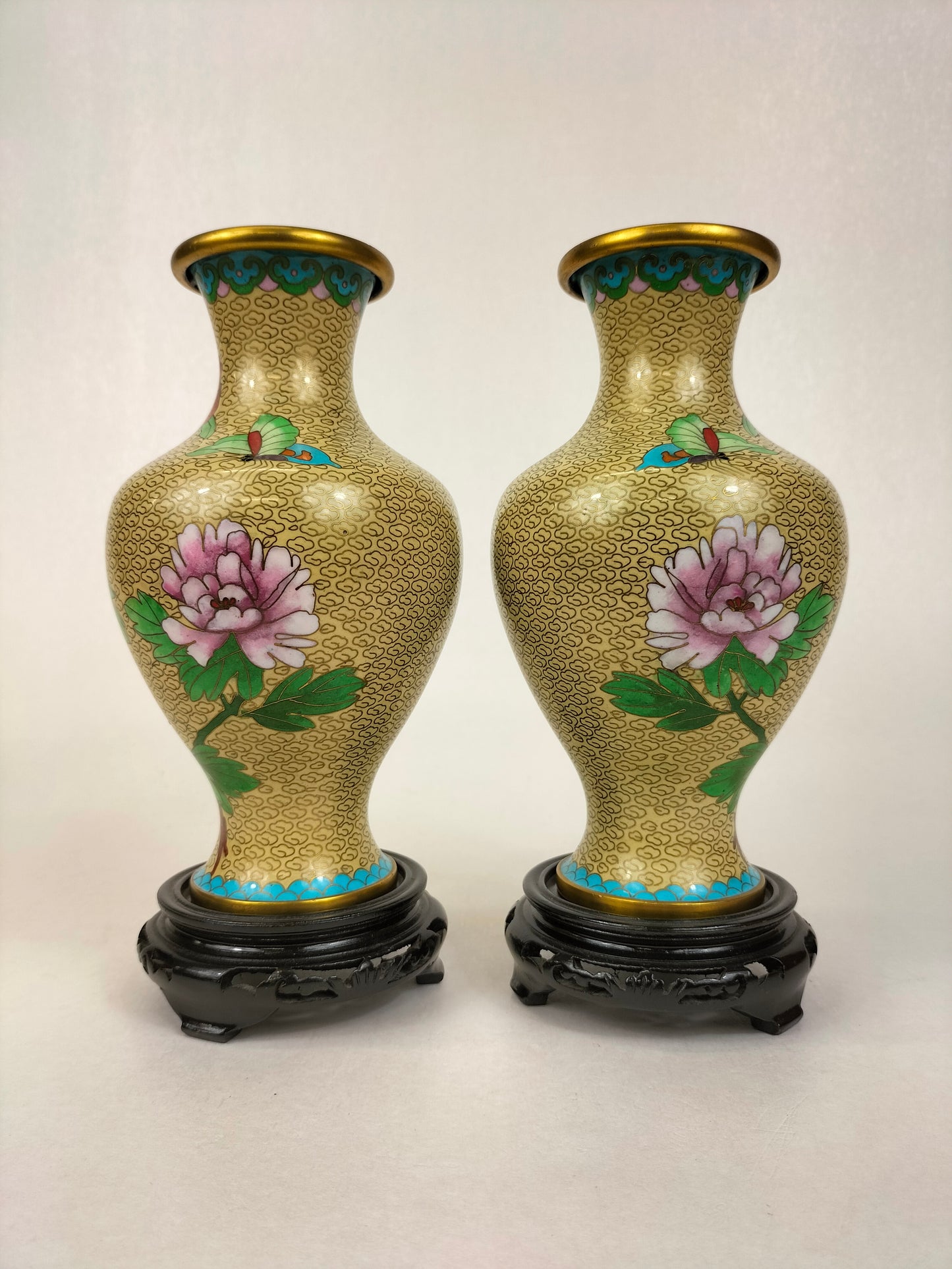 Cặp bình sứ cloisonné Trung Quốc trang trí hoa // Thế kỷ 20